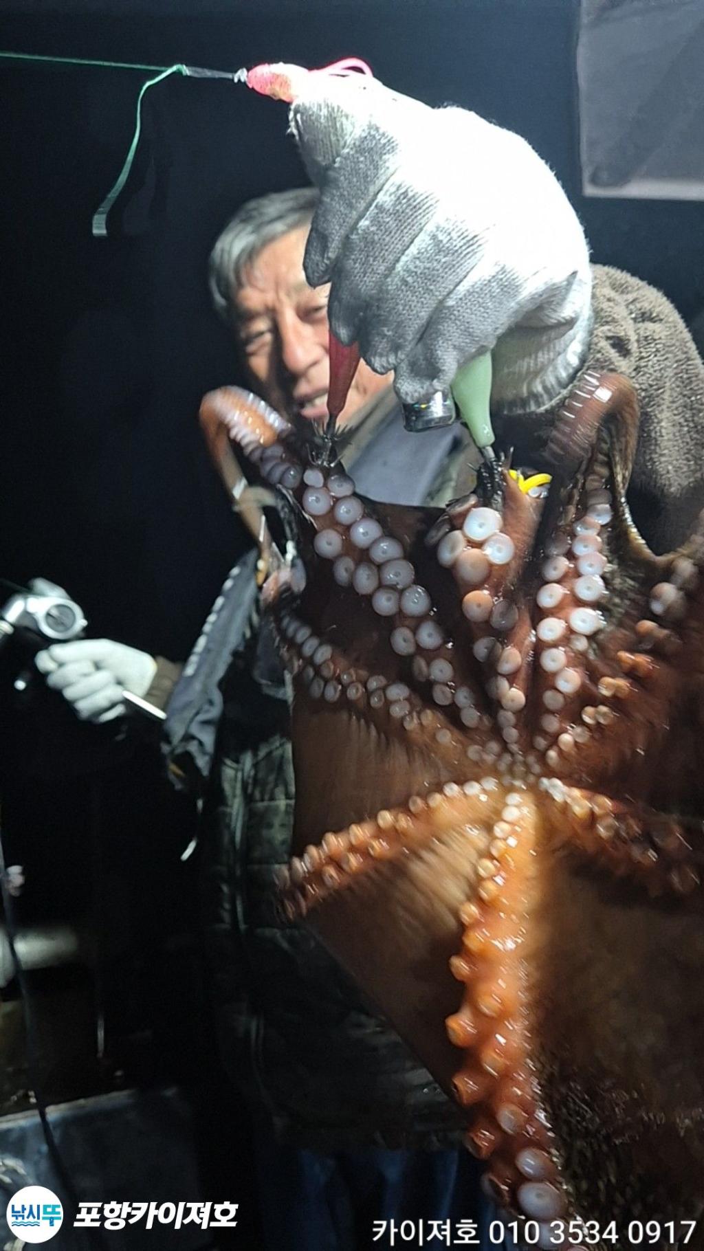 낚시뚜,돌문어,영일만항,포항카이져호,낚시뚜18