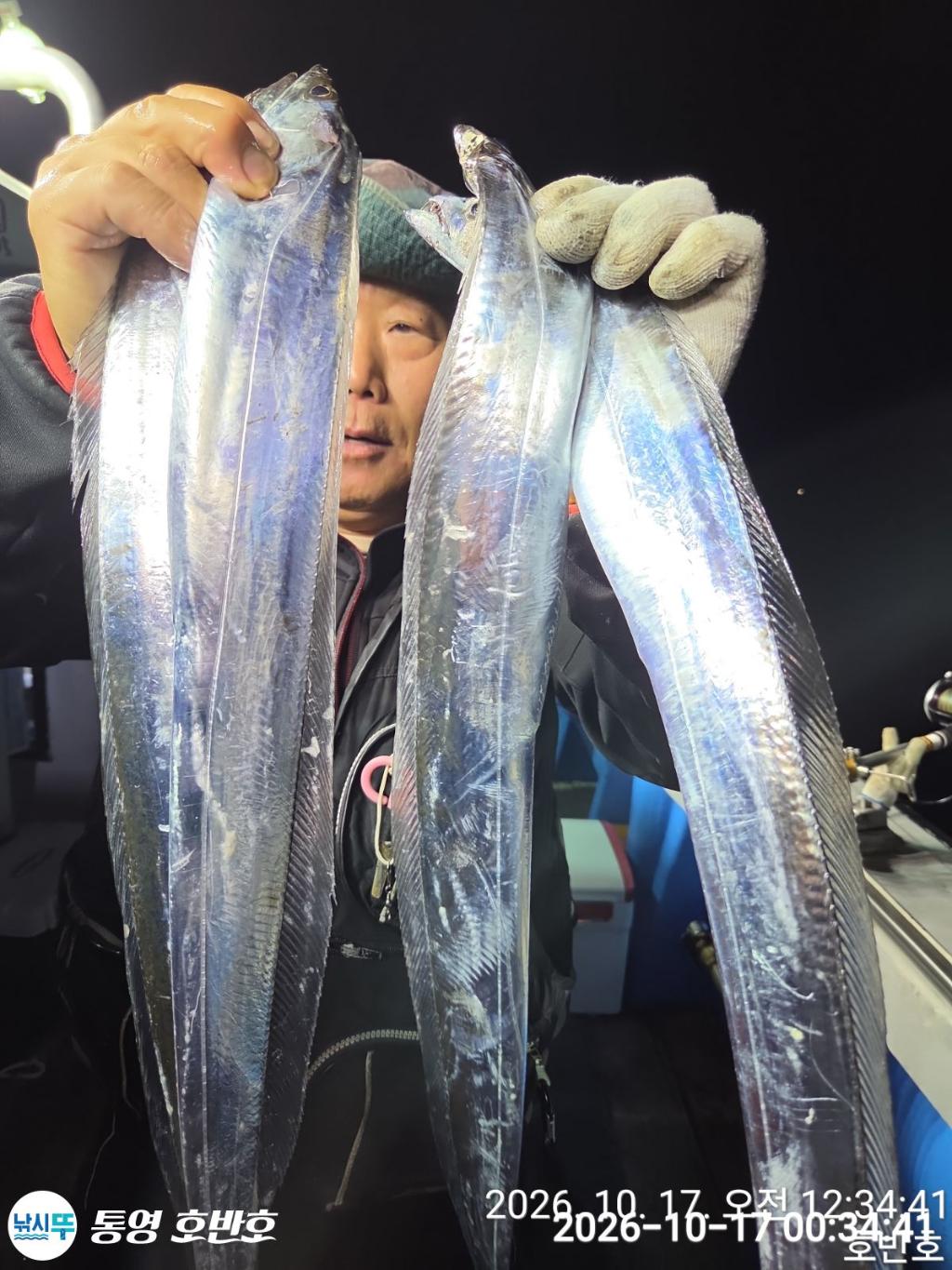낚시뚜,갈치,통영 신전항,통영호반호,낚시뚜26