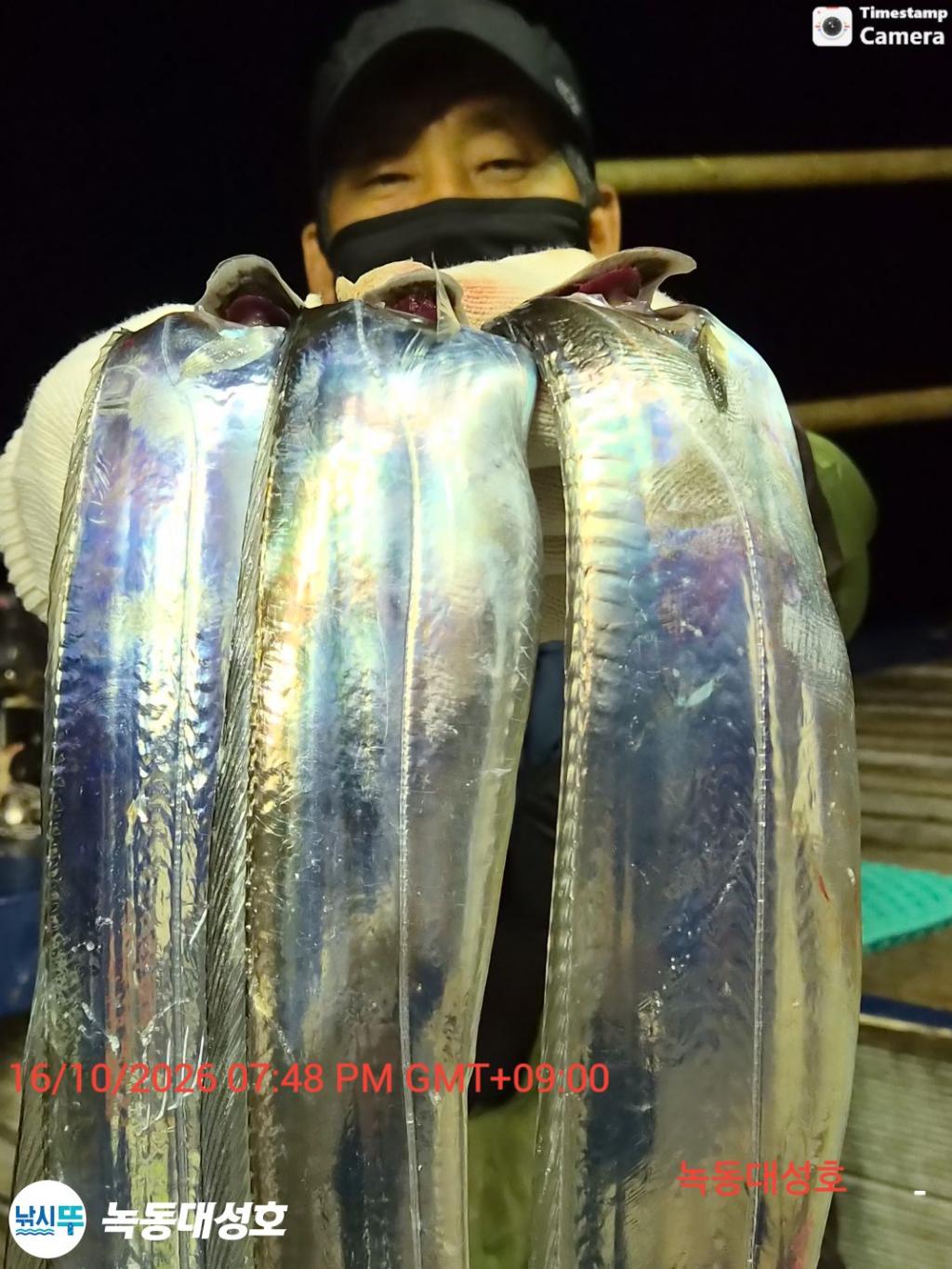 낚시뚜,갈치,녹동항,녹동대성호,낚시뚜27