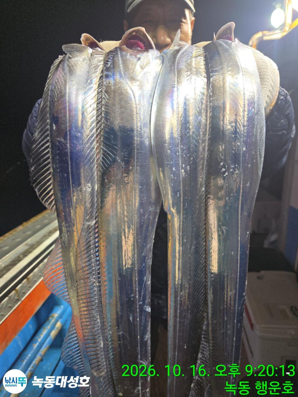 낚시뚜,갈치,녹동항,녹동대성호,낚시뚜17