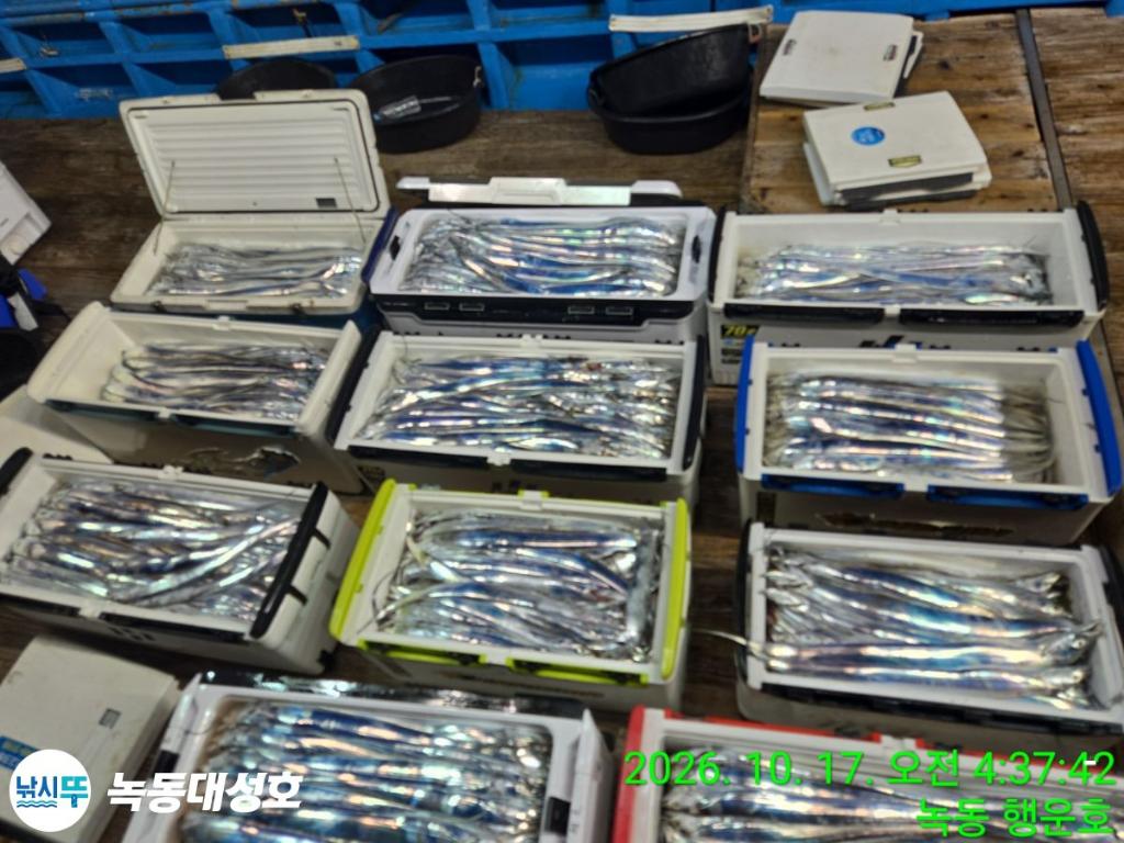 낚시뚜,갈치,녹동항,녹동대성호,낚시뚜9