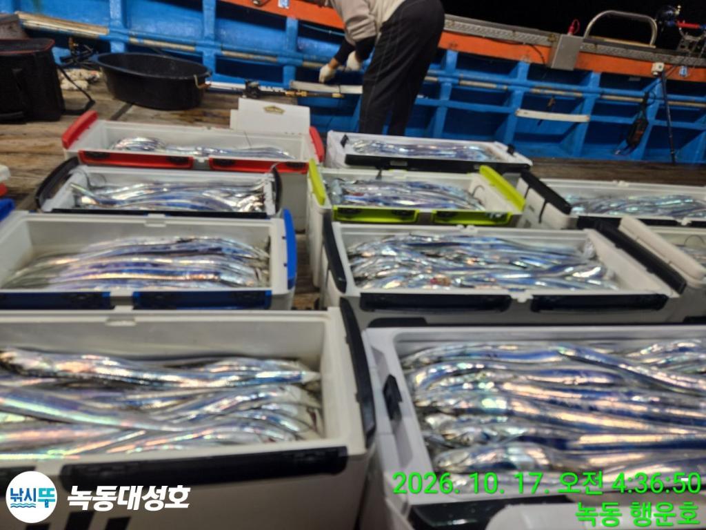 낚시뚜,갈치,녹동항,녹동대성호,낚시뚜8