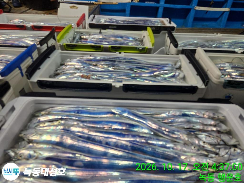 낚시뚜,갈치,녹동항,녹동대성호,낚시뚜7