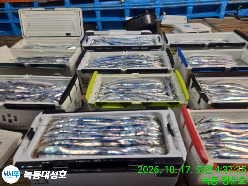 낚시뚜,갈치,녹동항,녹동대성호,낚시뚜5