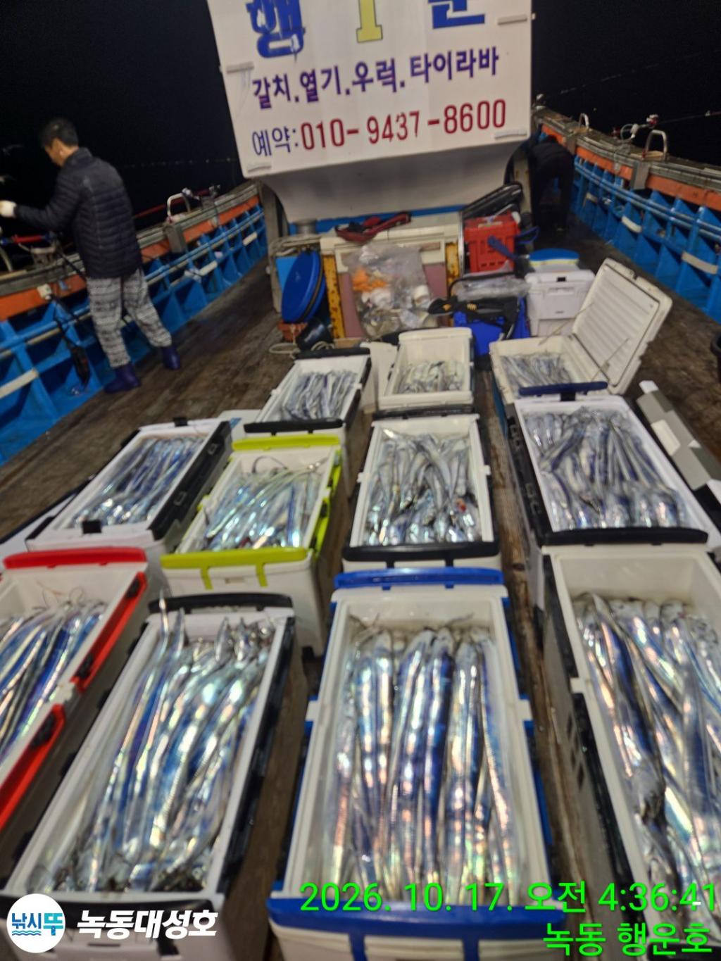 낚시뚜,갈치,녹동항,녹동대성호,낚시뚜4