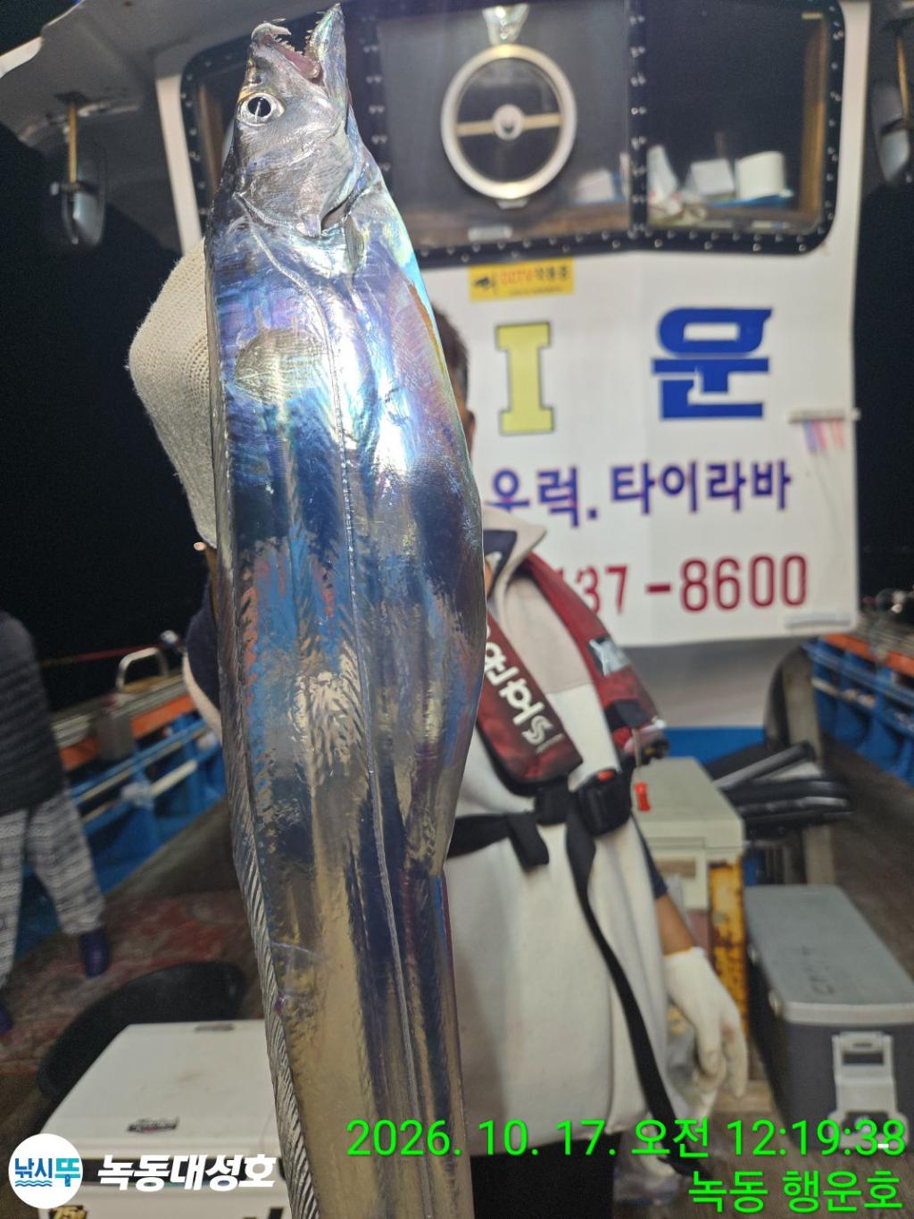 낚시뚜,갈치,녹동항,녹동대성호,낚시뚜1