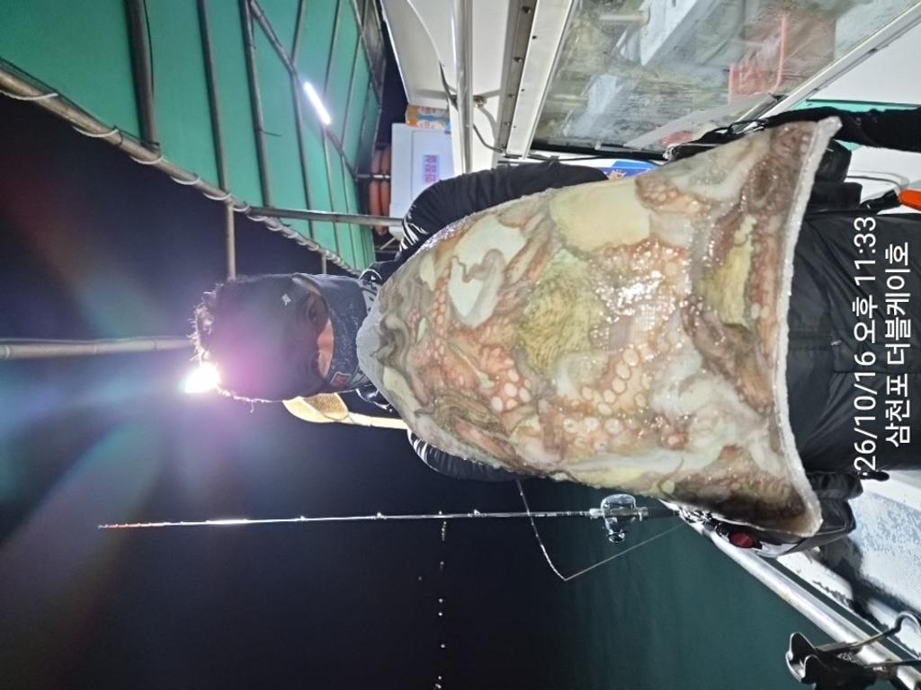 낚시뚜,쭈꾸미,돌문어,삼천포 팔포항,삼천포 더블케이호,낚시뚜42