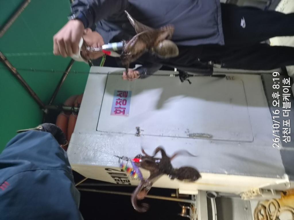낚시뚜,쭈꾸미,돌문어,삼천포 팔포항,삼천포 더블케이호,낚시뚜19