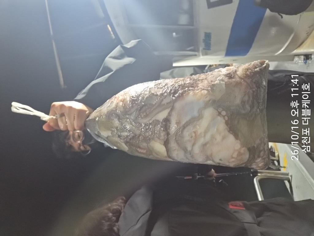 낚시뚜,쭈꾸미,돌문어,삼천포 팔포항,삼천포 더블케이호,낚시뚜0