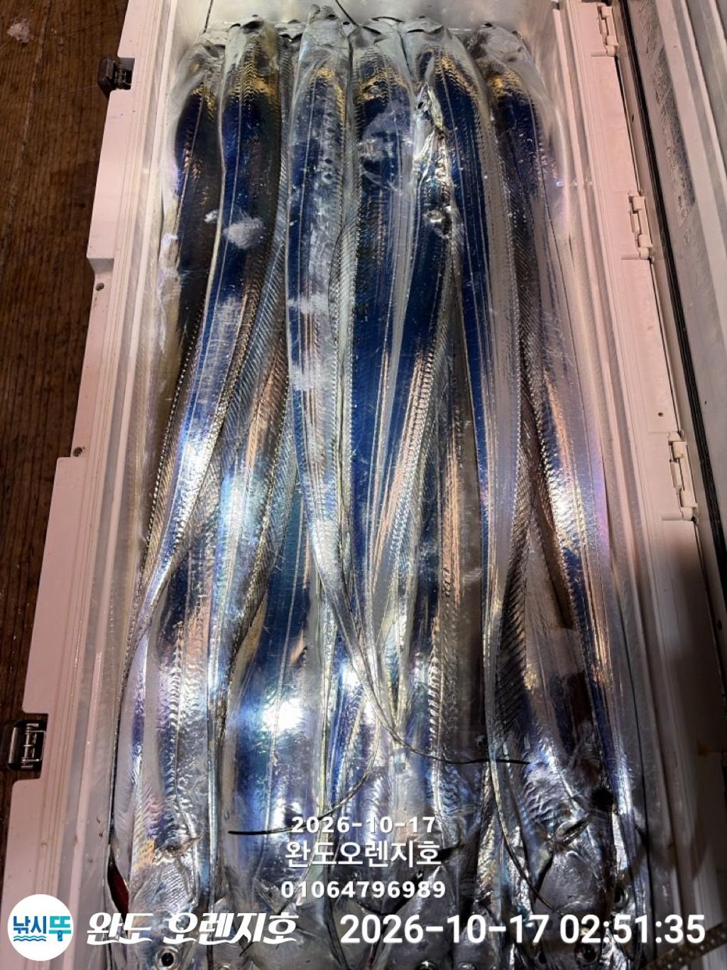 낚시뚜,갈치,완도항,완도 오렌지호,낚시뚜34