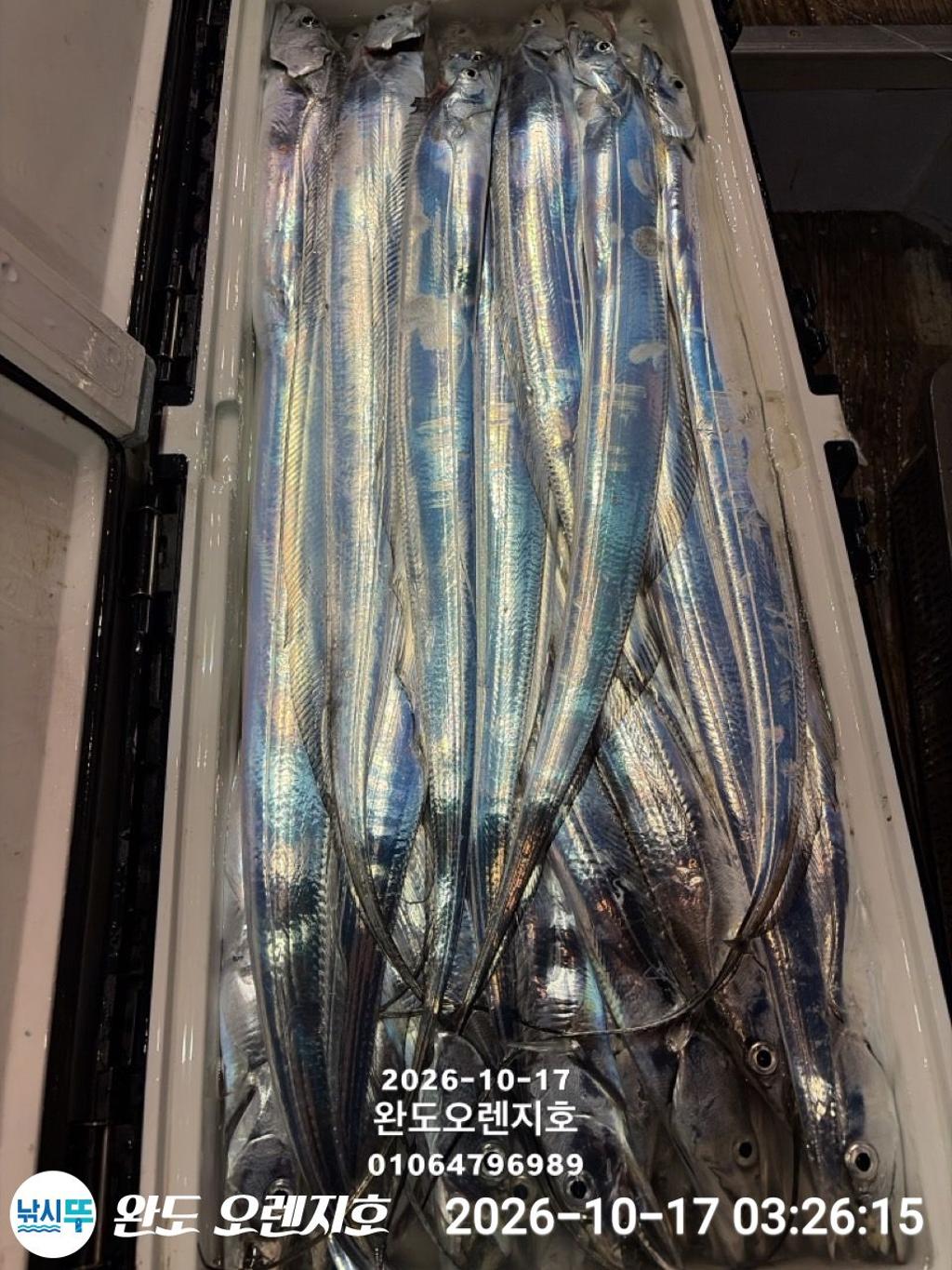 낚시뚜,갈치,완도항,완도 오렌지호,낚시뚜30