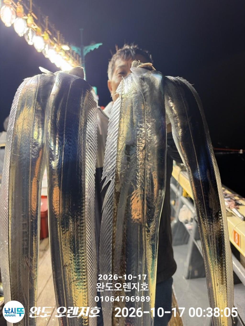 낚시뚜,갈치,완도항,완도 오렌지호,낚시뚜13