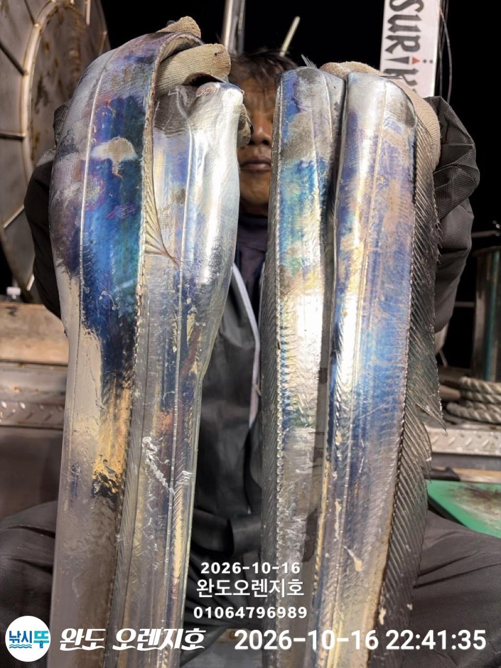 낚시뚜,갈치,완도항,완도 오렌지호,낚시뚜10