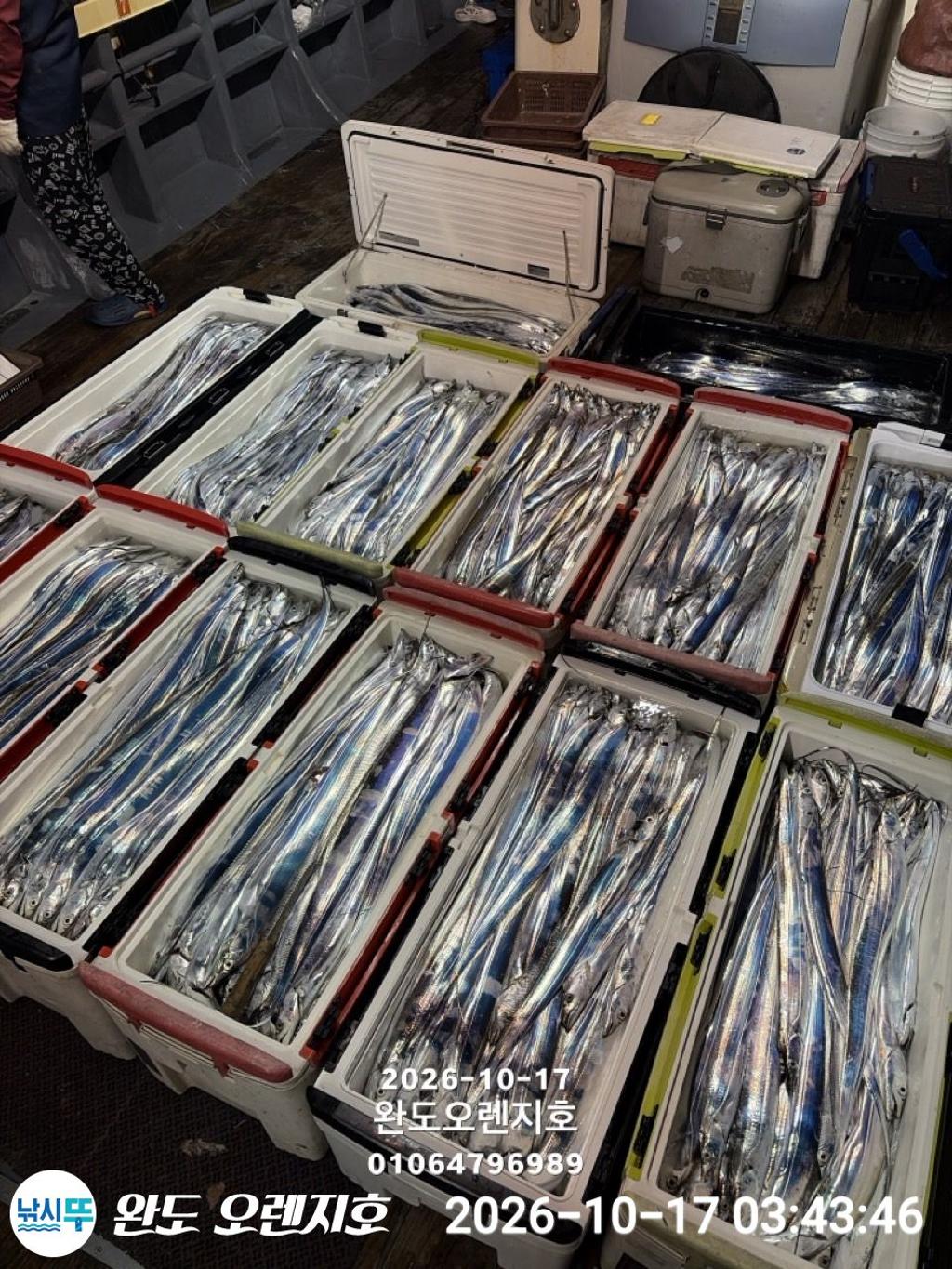 낚시뚜,갈치,완도항,완도 오렌지호,낚시뚜1