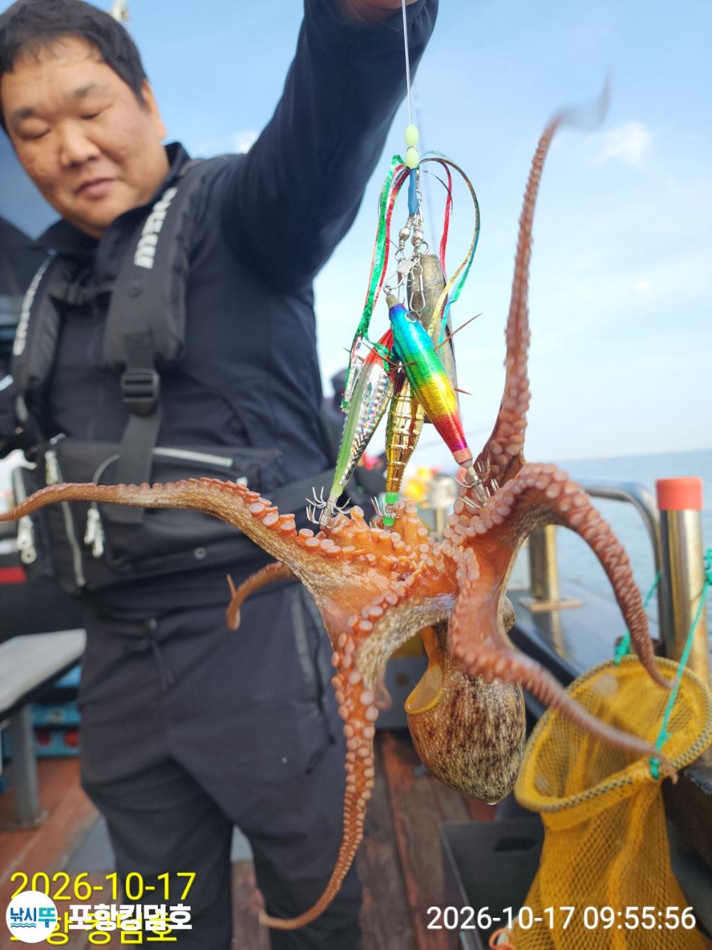 낚시뚜,돌문어,영일만항,포항 킹덤호,낚시뚜24