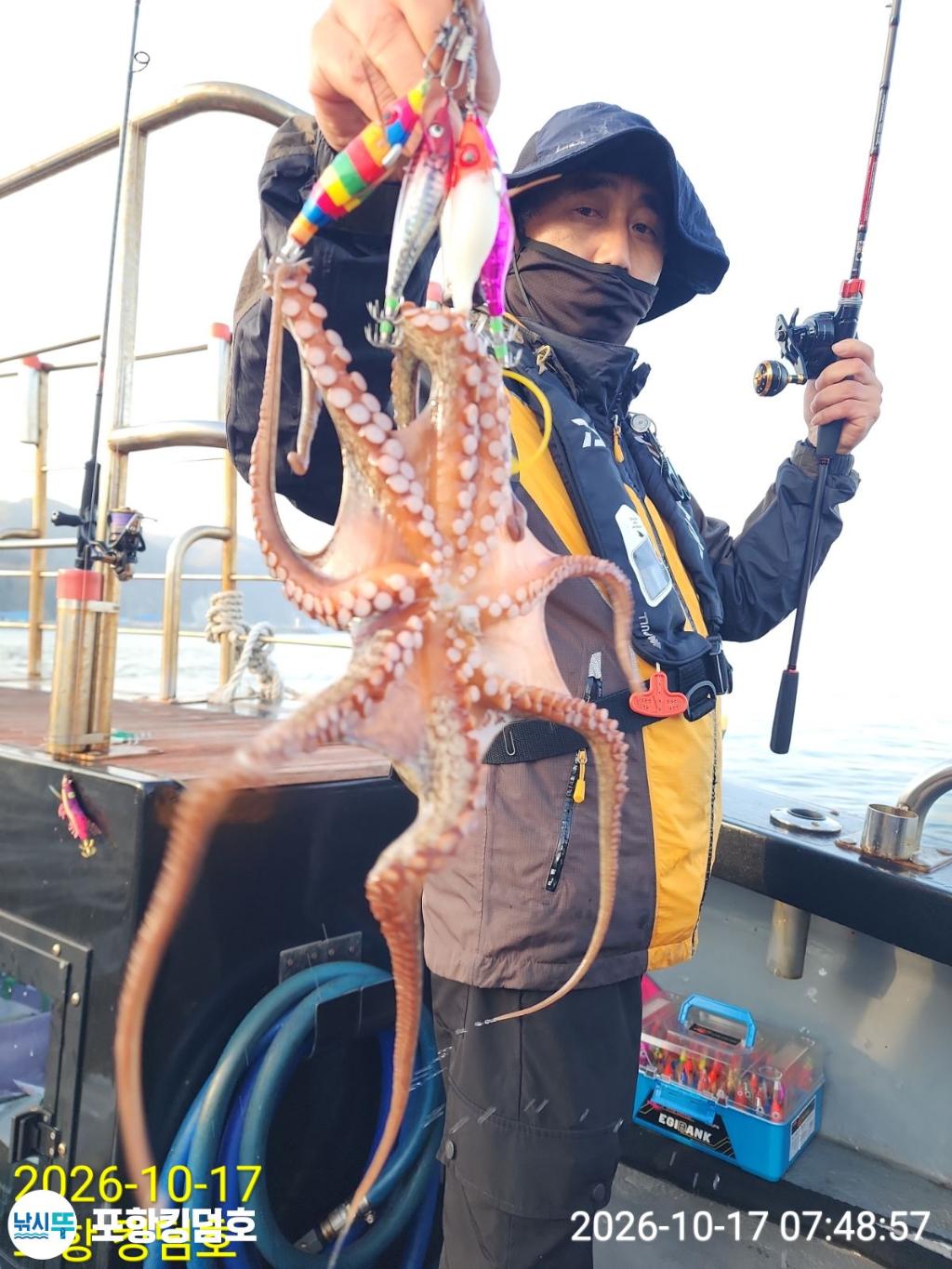낚시뚜,돌문어,영일만항,포항 킹덤호,낚시뚜2