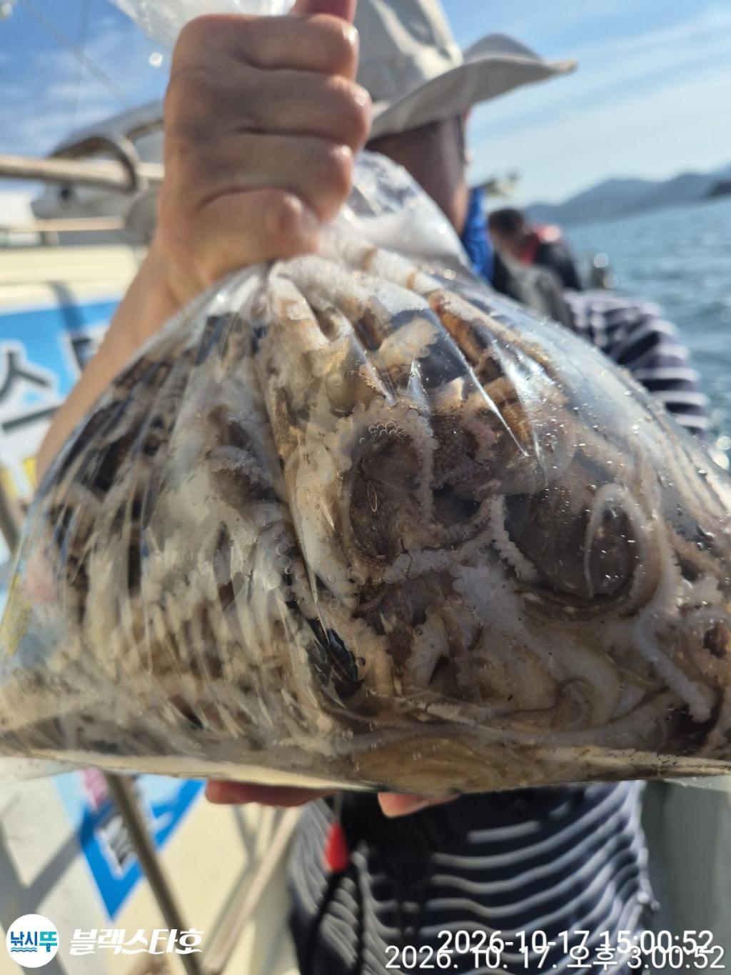 낚시뚜,돌문어,삼천포 팔포항,삼천포 블랙스타,낚시뚜14