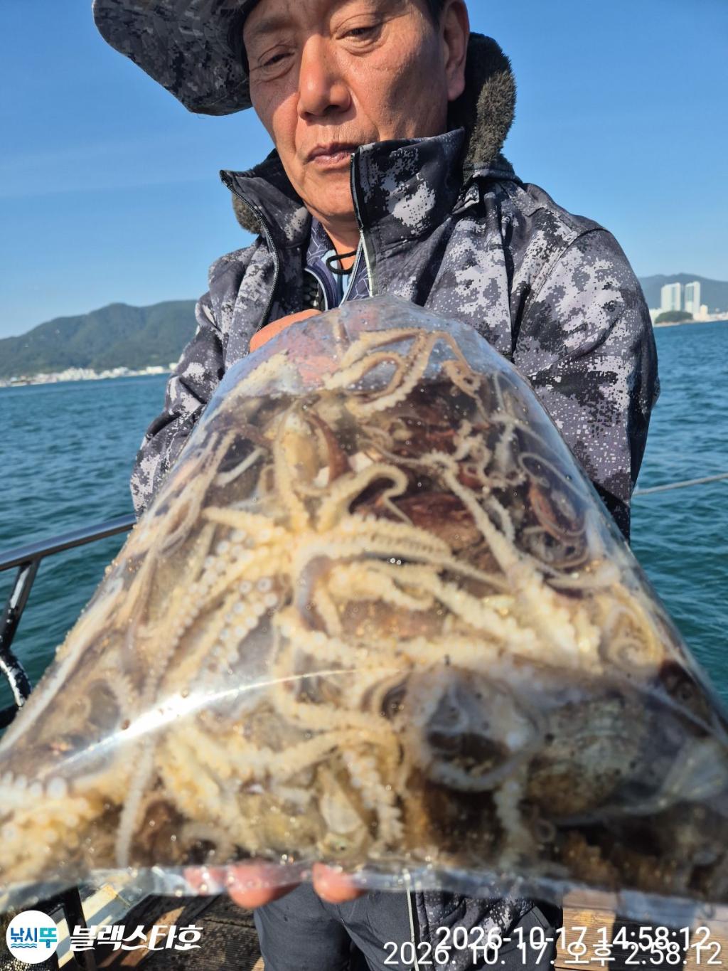 낚시뚜,돌문어,삼천포 팔포항,삼천포 블랙스타,낚시뚜12
