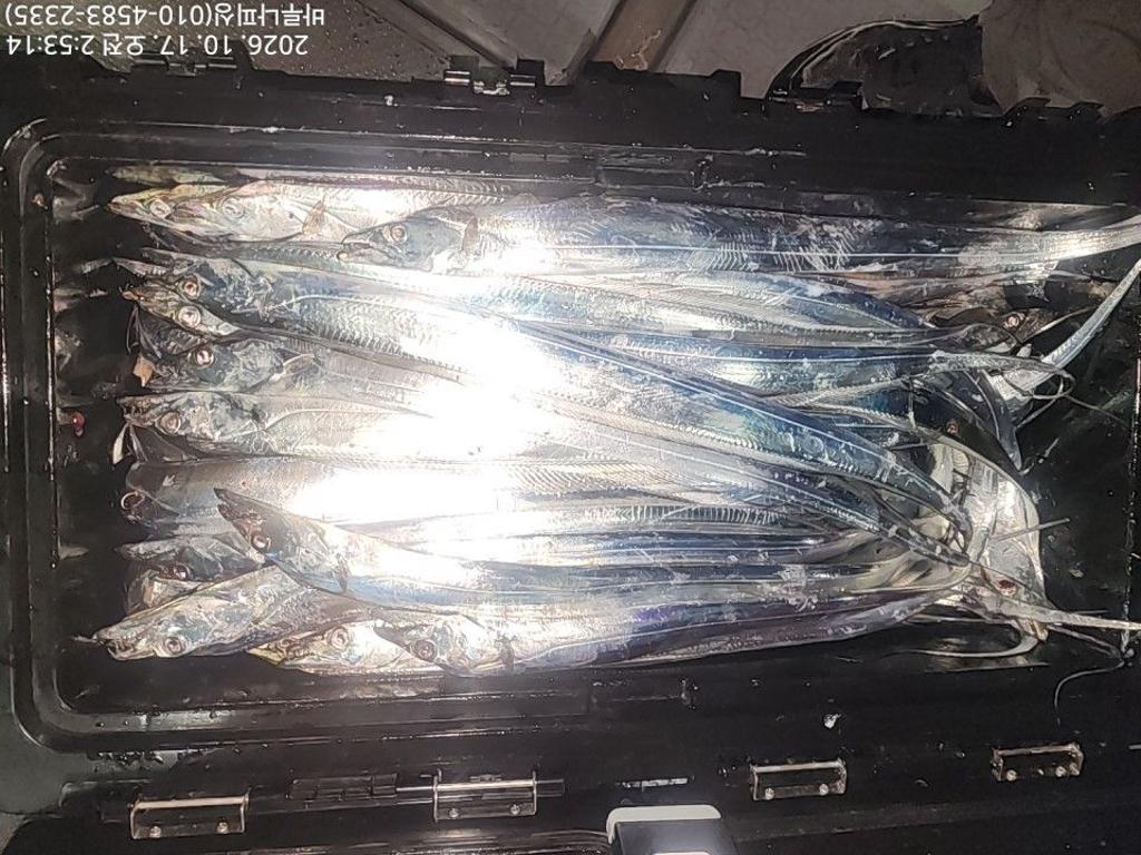 낚시뚜,갈치,속천항(진해),바루나피싱,낚시뚜7
