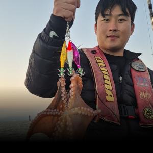 조황, 16일 야간 돌 문어 조황 입니다