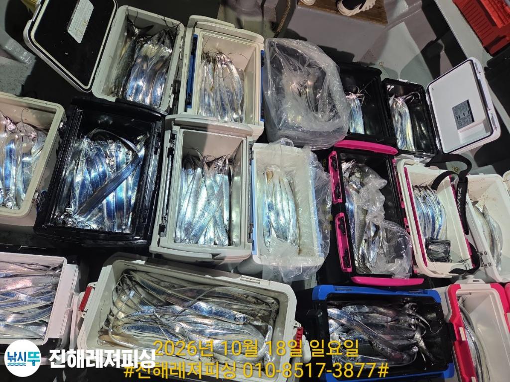 낚시뚜,갈치,진해1부두항,진해레져피싱,낚시뚜20