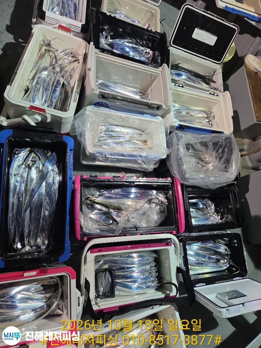 낚시뚜,갈치,진해1부두항,진해레져피싱,낚시뚜19
