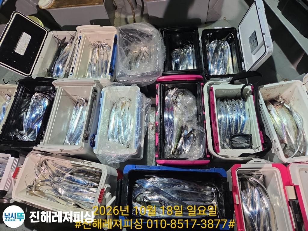 낚시뚜,갈치,진해1부두항,진해레져피싱,낚시뚜16