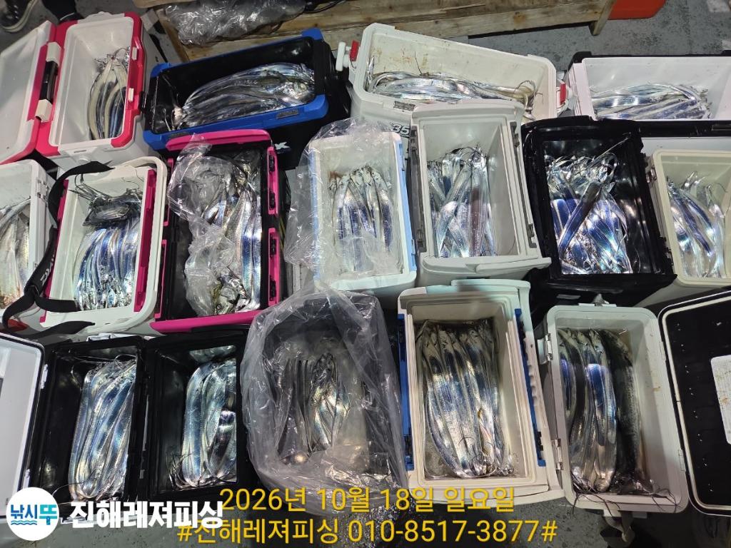 낚시뚜,갈치,진해1부두항,진해레져피싱,낚시뚜14