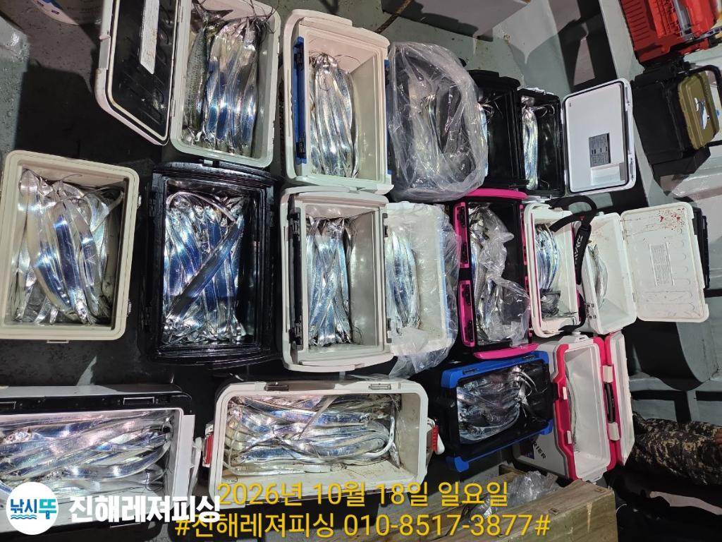 낚시뚜,갈치,진해1부두항,진해레져피싱,낚시뚜12