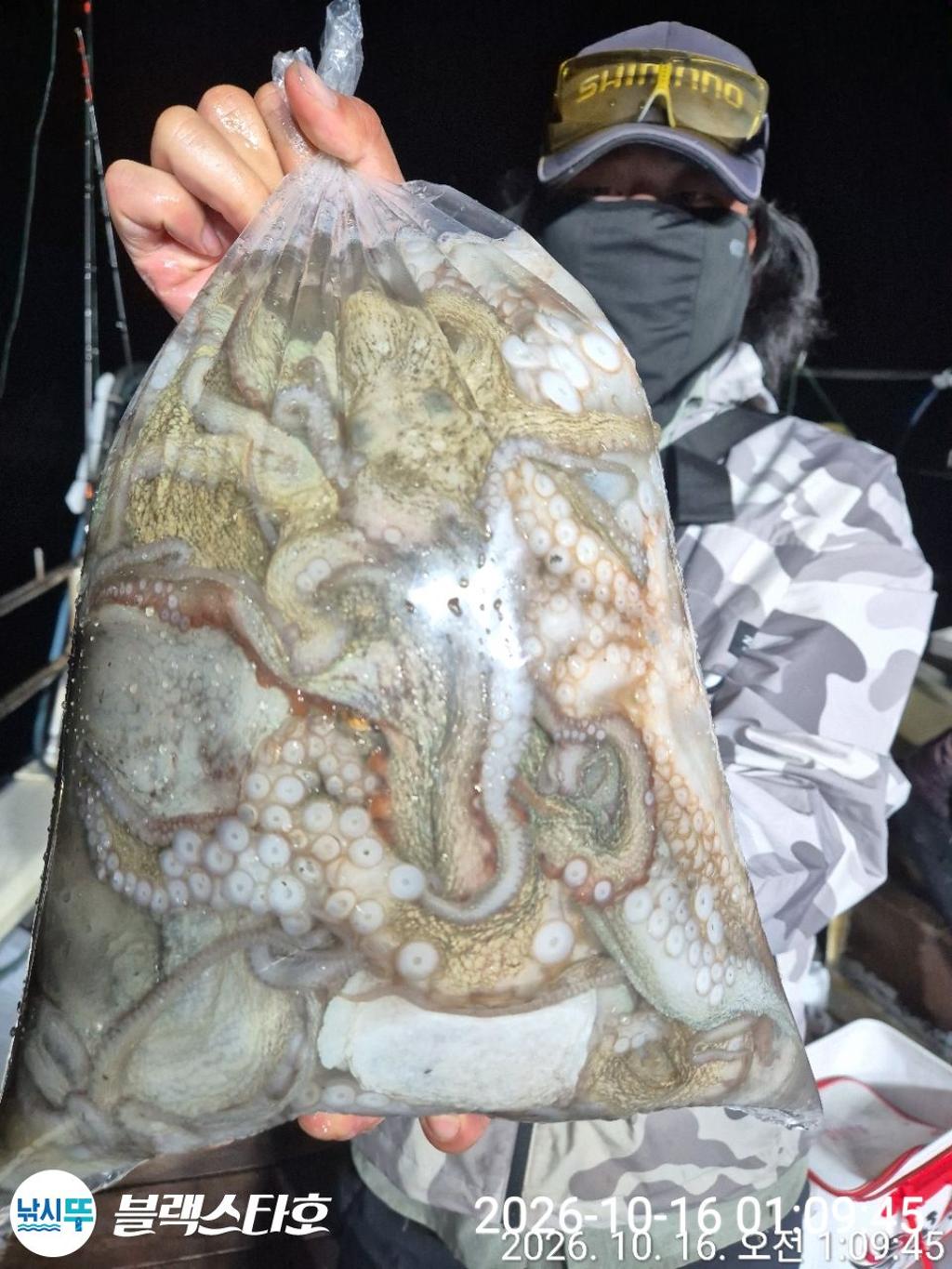 낚시뚜,돌문어,쭈꾸미,삼천포 팔포항,삼천포 블랙스타,낚시뚜4
