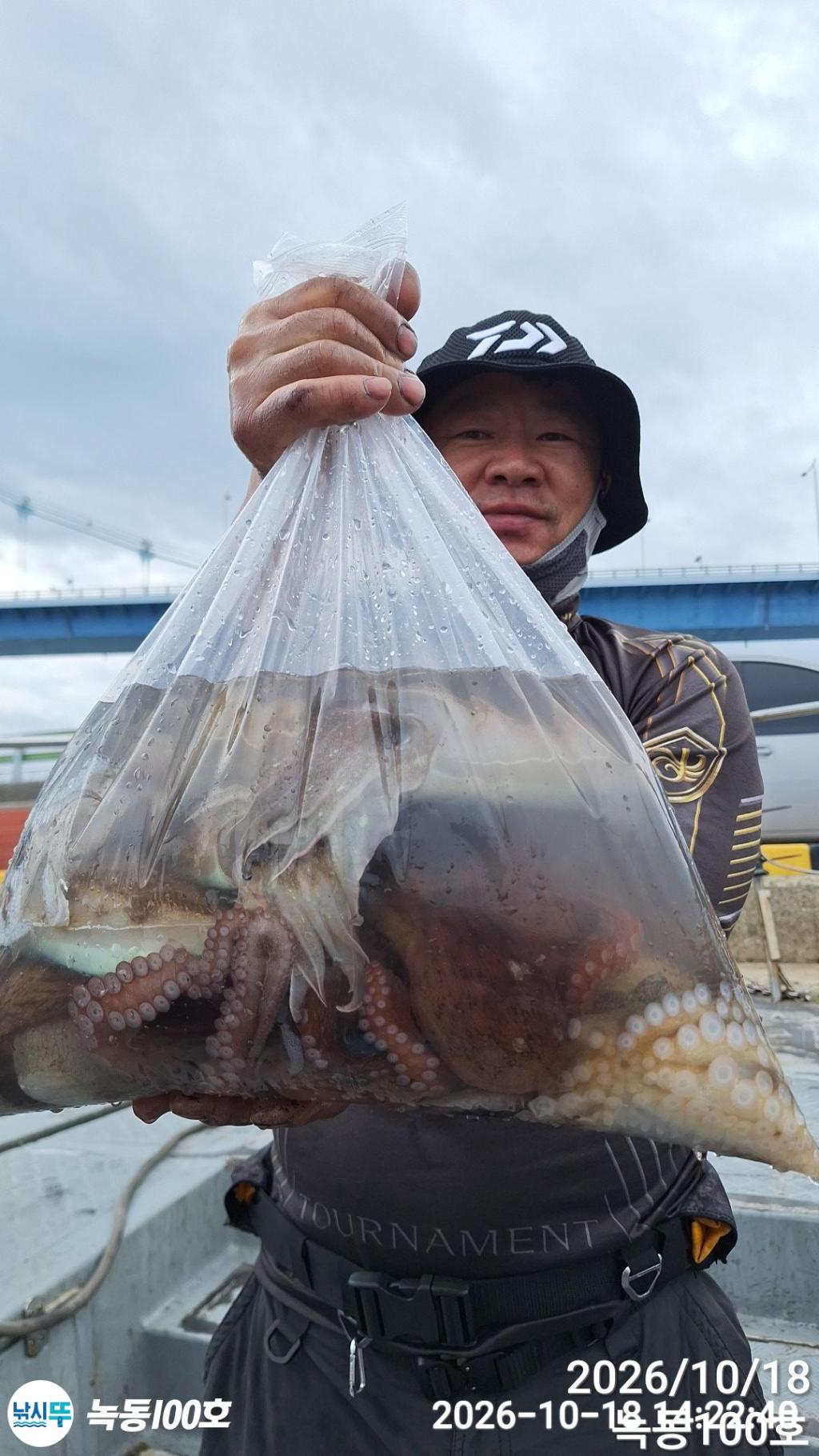 낚시뚜,갑오징어,돌문어,녹동항,녹동100호,낚시뚜13