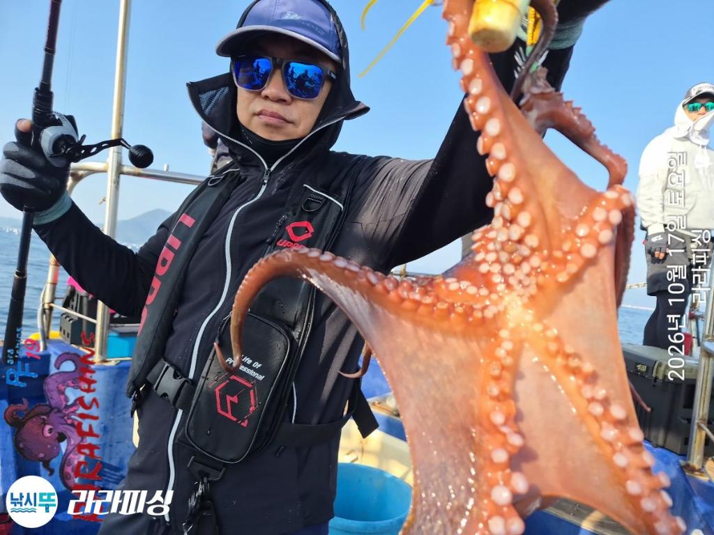 낚시뚜,돌문어,속천항(진해),라라피싱,낚시뚜10