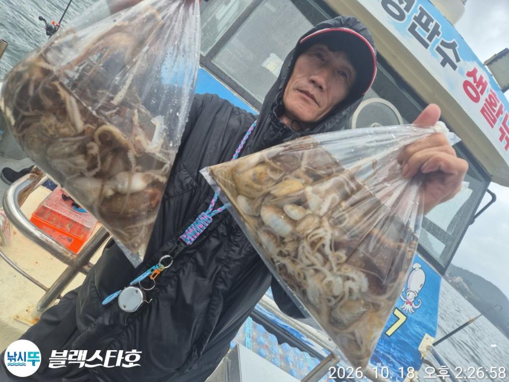 낚시뚜,돌문어,쭈꾸미,삼천포 팔포항,삼천포 블랙스타,낚시뚜16