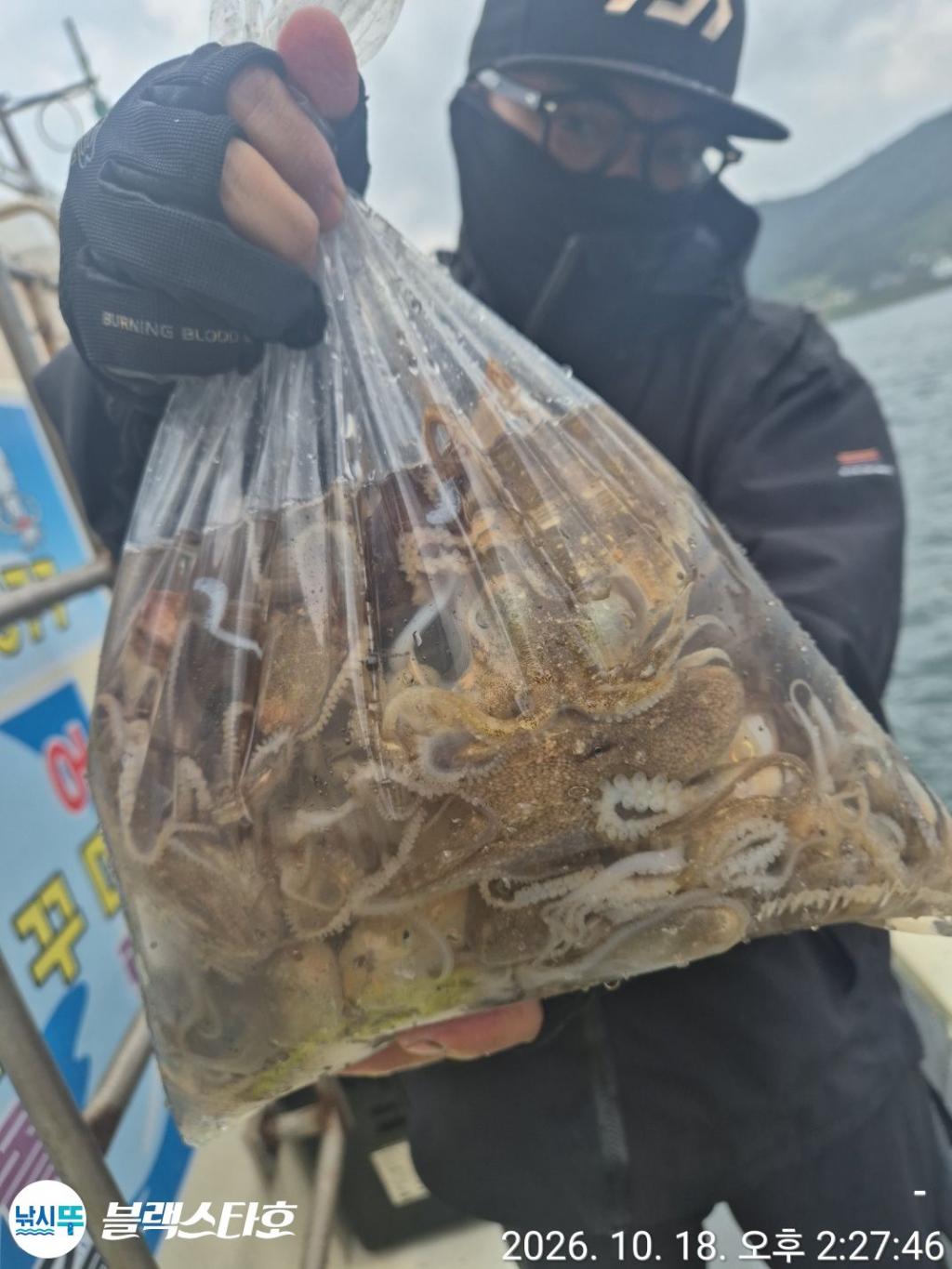 낚시뚜,돌문어,쭈꾸미,삼천포 팔포항,삼천포 블랙스타,낚시뚜12