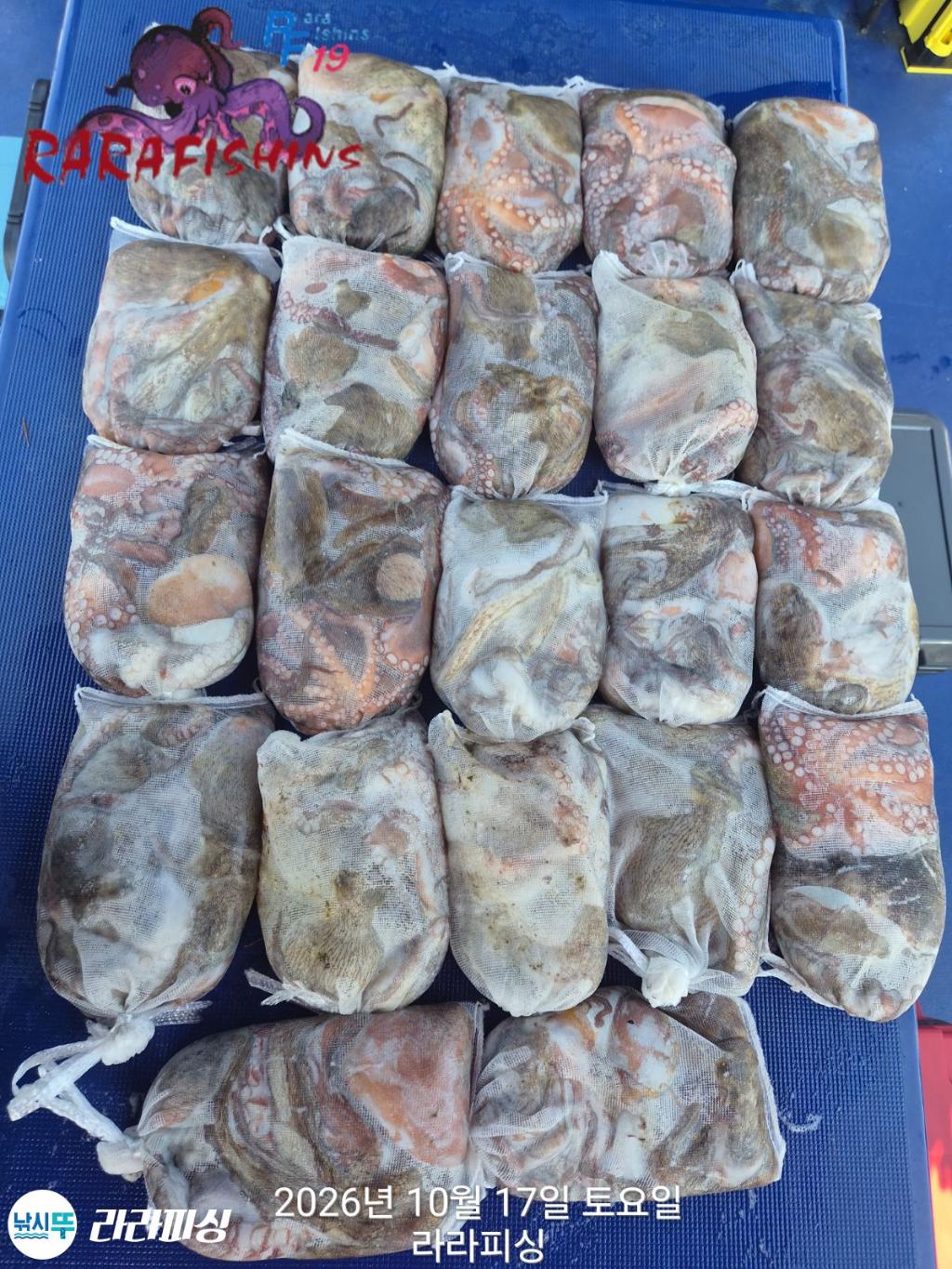 낚시뚜,돌문어,속천항(진해),라라피싱,낚시뚜15