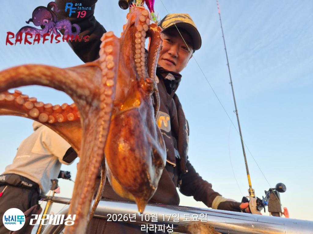 낚시뚜,돌문어,속천항(진해),라라피싱,낚시뚜13
