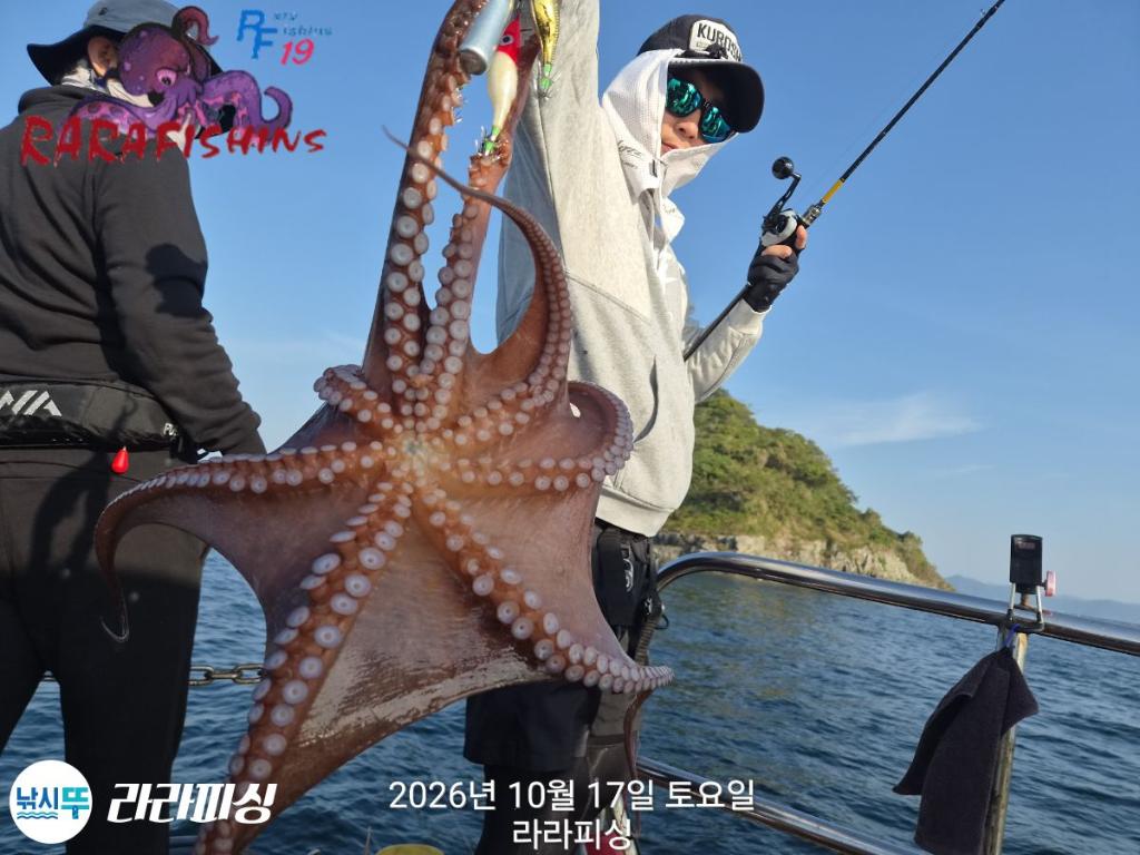 낚시뚜,돌문어,속천항(진해),라라피싱,낚시뚜9