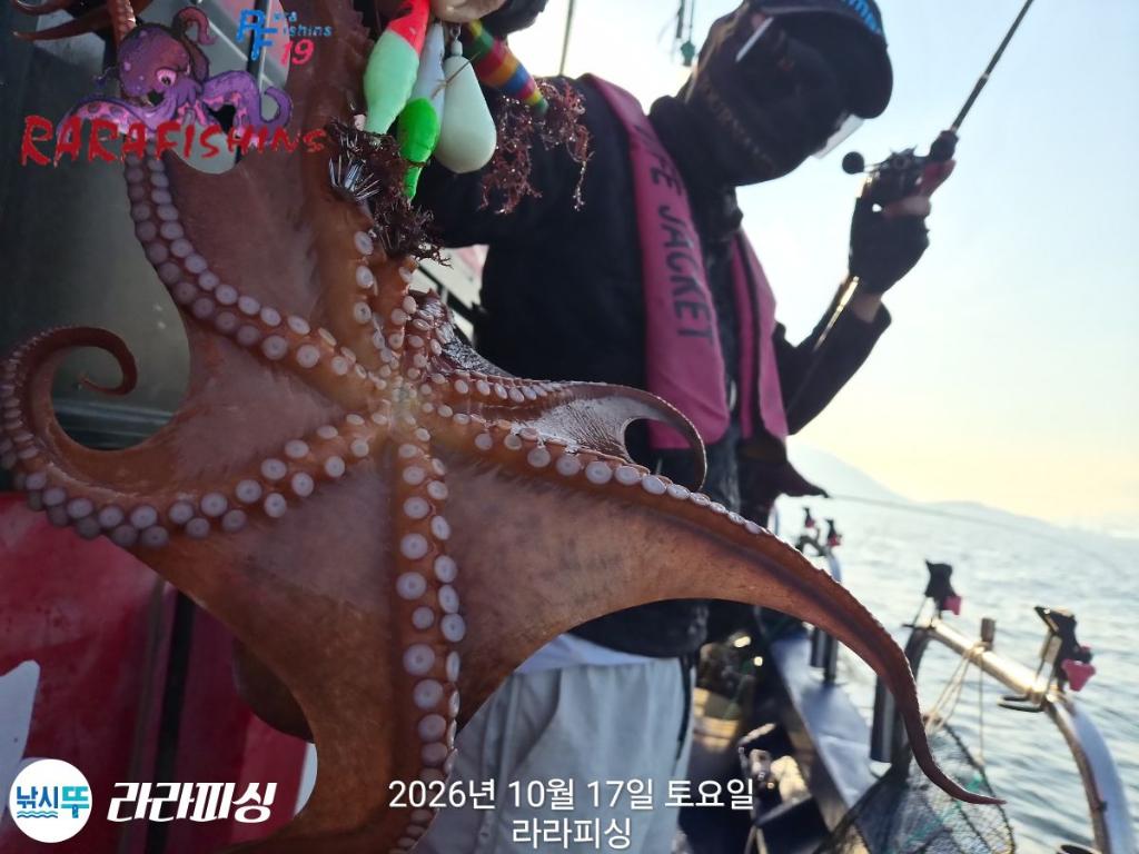 낚시뚜,돌문어,속천항(진해),라라피싱,낚시뚜7