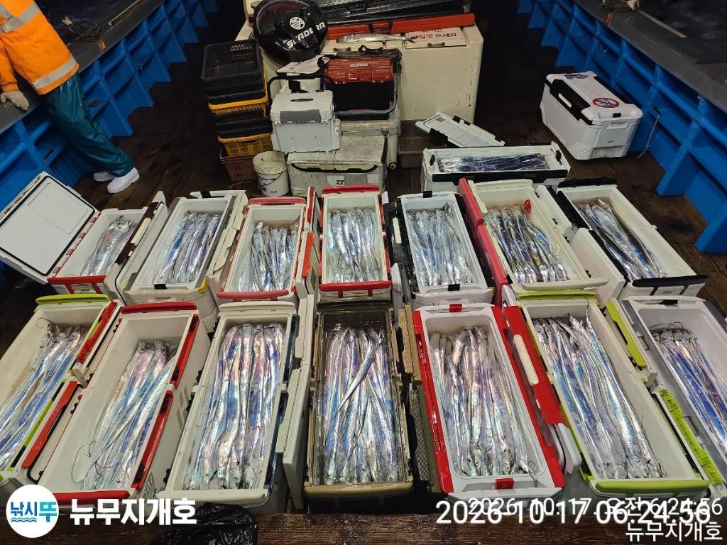 낚시뚜,갈치,통영영운리항,뉴무지개호,낚시뚜19