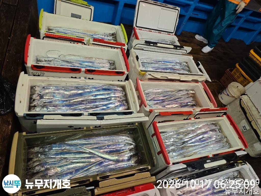 낚시뚜,갈치,통영영운리항,뉴무지개호,낚시뚜18
