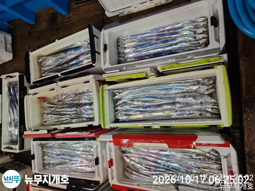 낚시뚜,갈치,통영영운리항,뉴무지개호,낚시뚜17