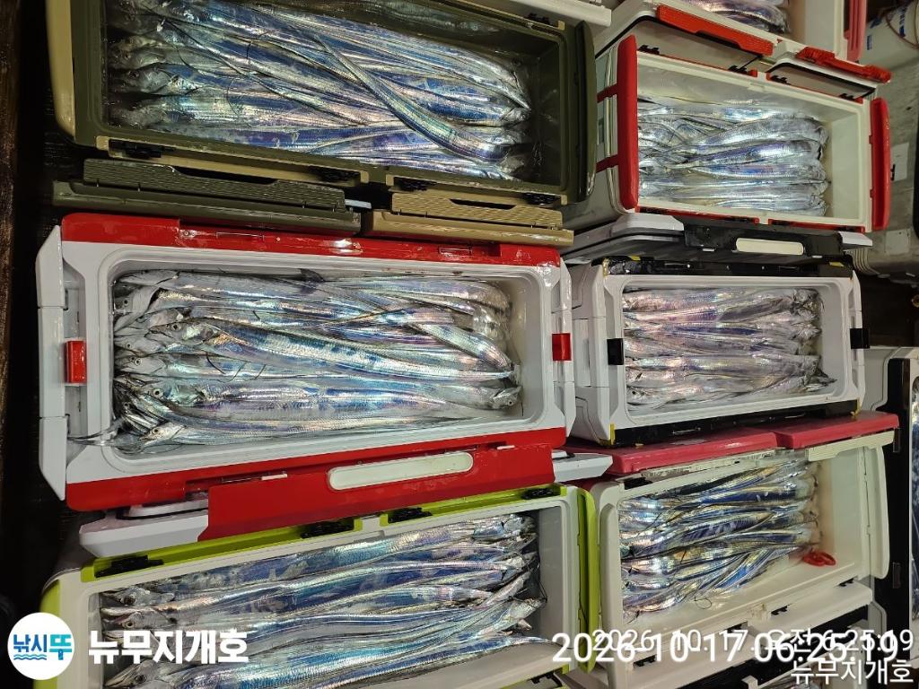 낚시뚜,갈치,통영영운리항,뉴무지개호,낚시뚜15