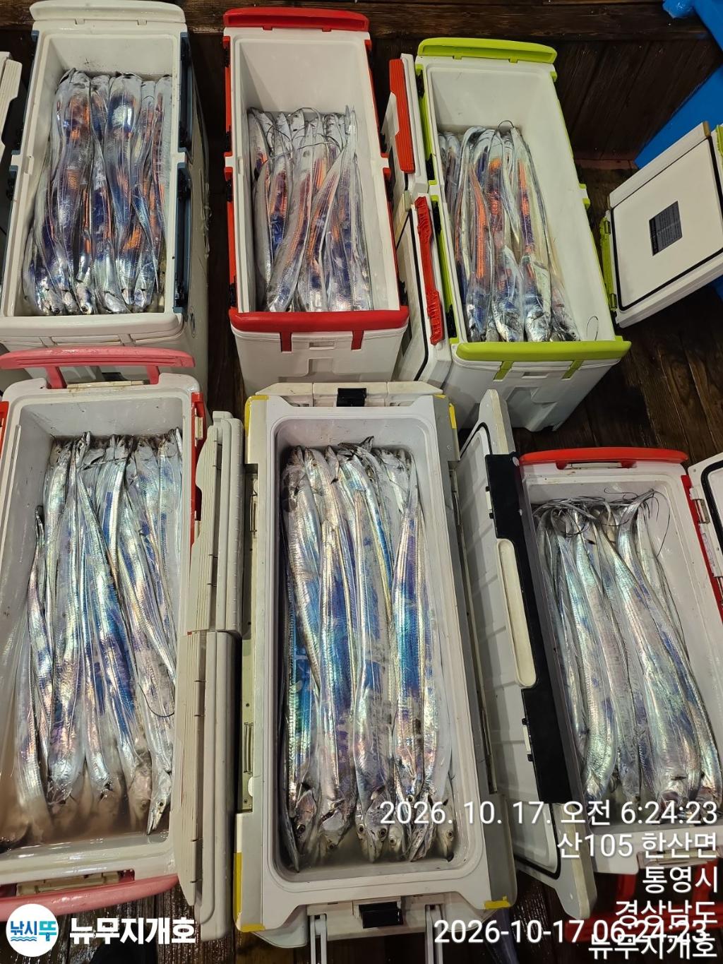 낚시뚜,갈치,통영영운리항,뉴무지개호,낚시뚜14