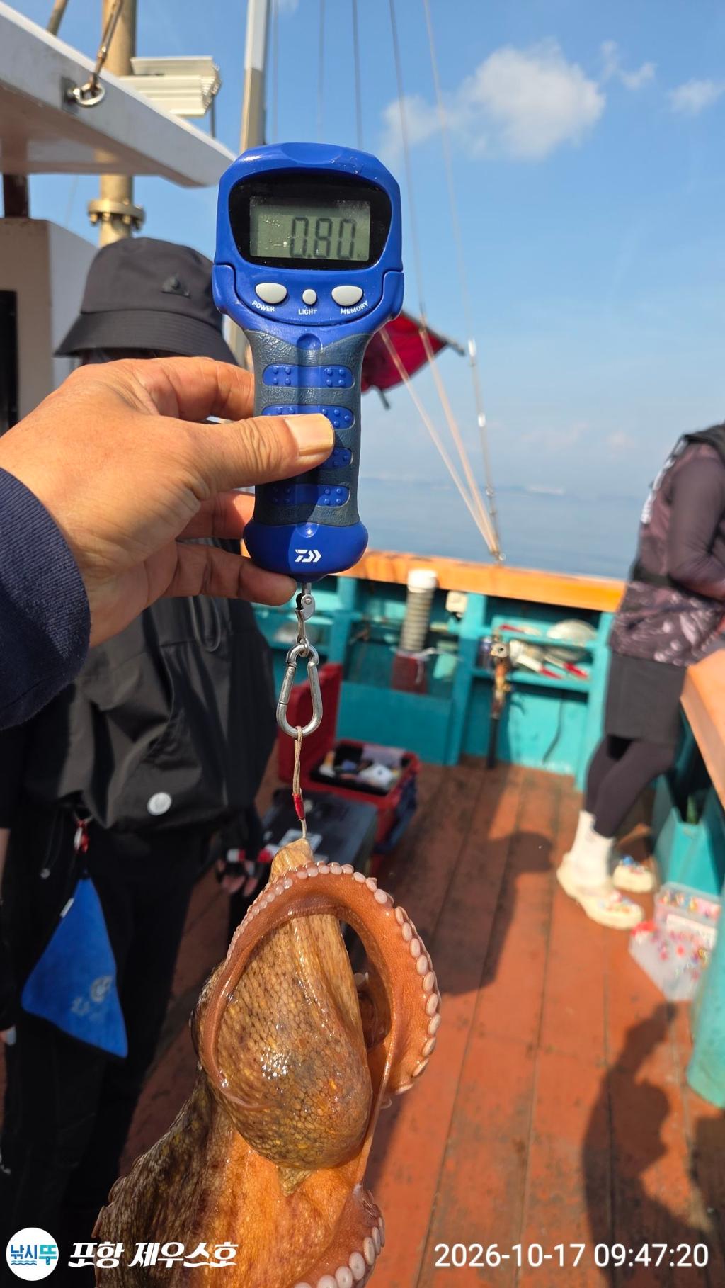 낚시뚜,돌문어,영일만항,포항 제우스호,낚시뚜40