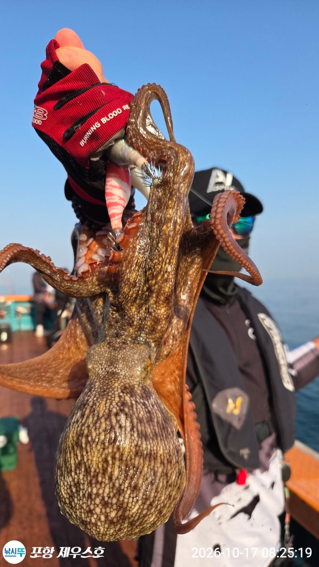 낚시뚜,돌문어,영일만항,포항 제우스호,낚시뚜10