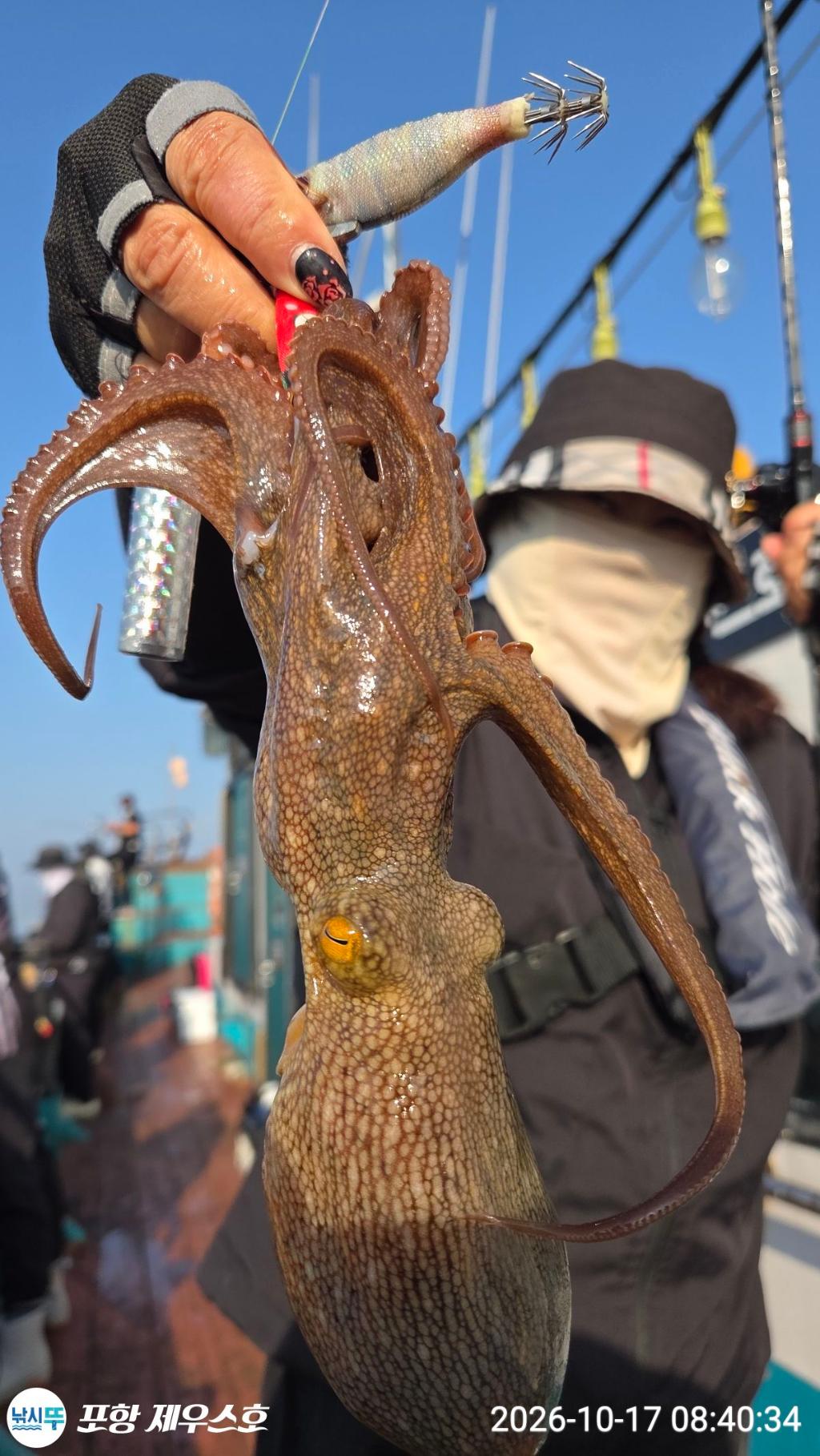 낚시뚜,돌문어,영일만항,포항 제우스호,낚시뚜9