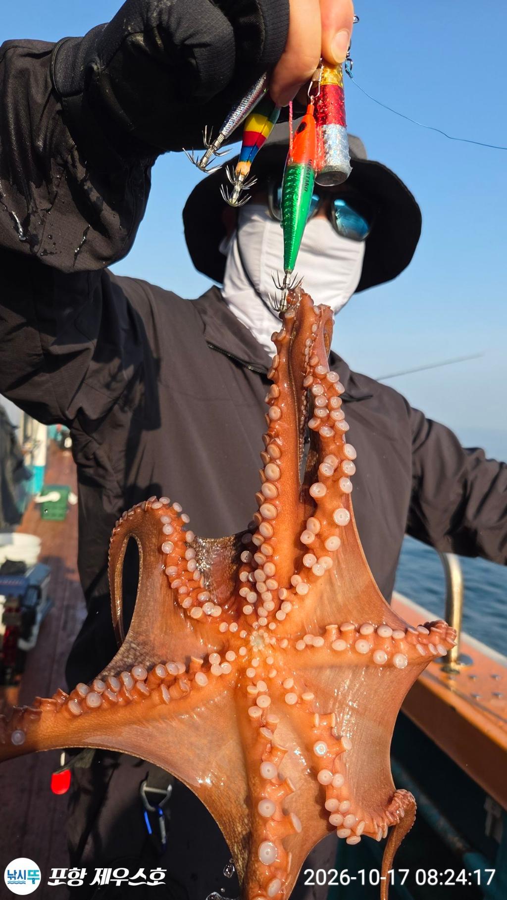 낚시뚜,돌문어,영일만항,포항 제우스호,낚시뚜5