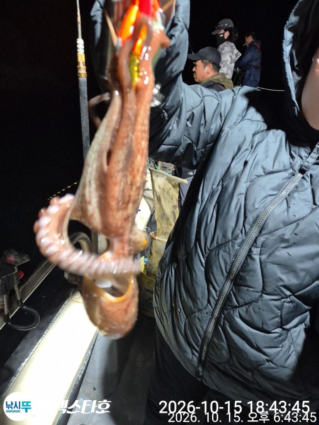 낚시뚜,돌문어,삼천포 팔포항,삼천포 블랙스타,낚시뚜6