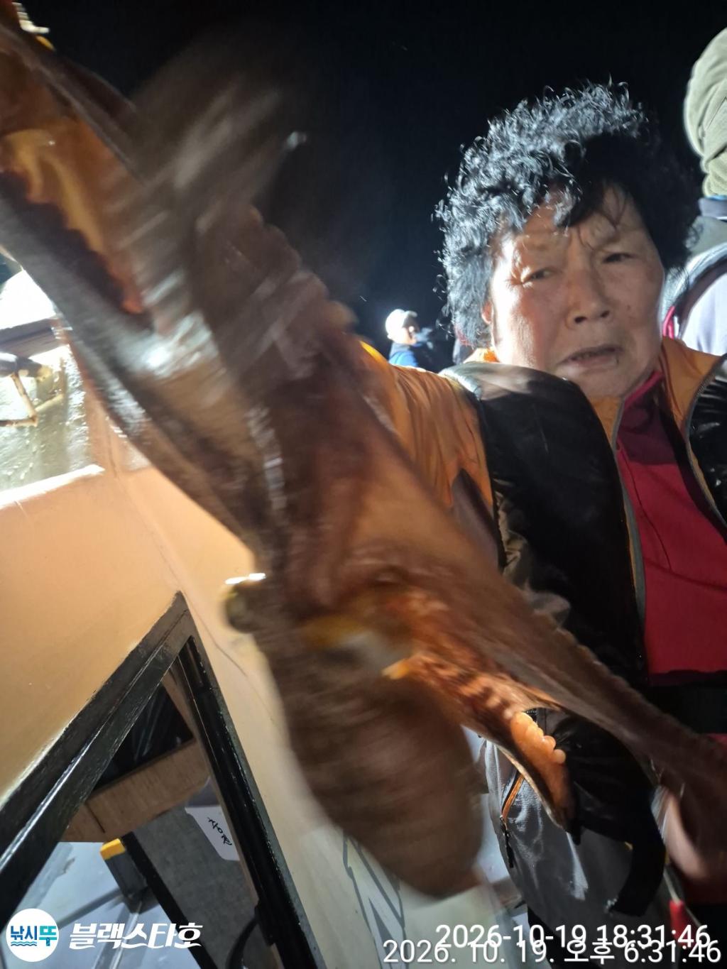 낚시뚜,돌문어,삼천포 팔포항,삼천포 블랙스타,낚시뚜1