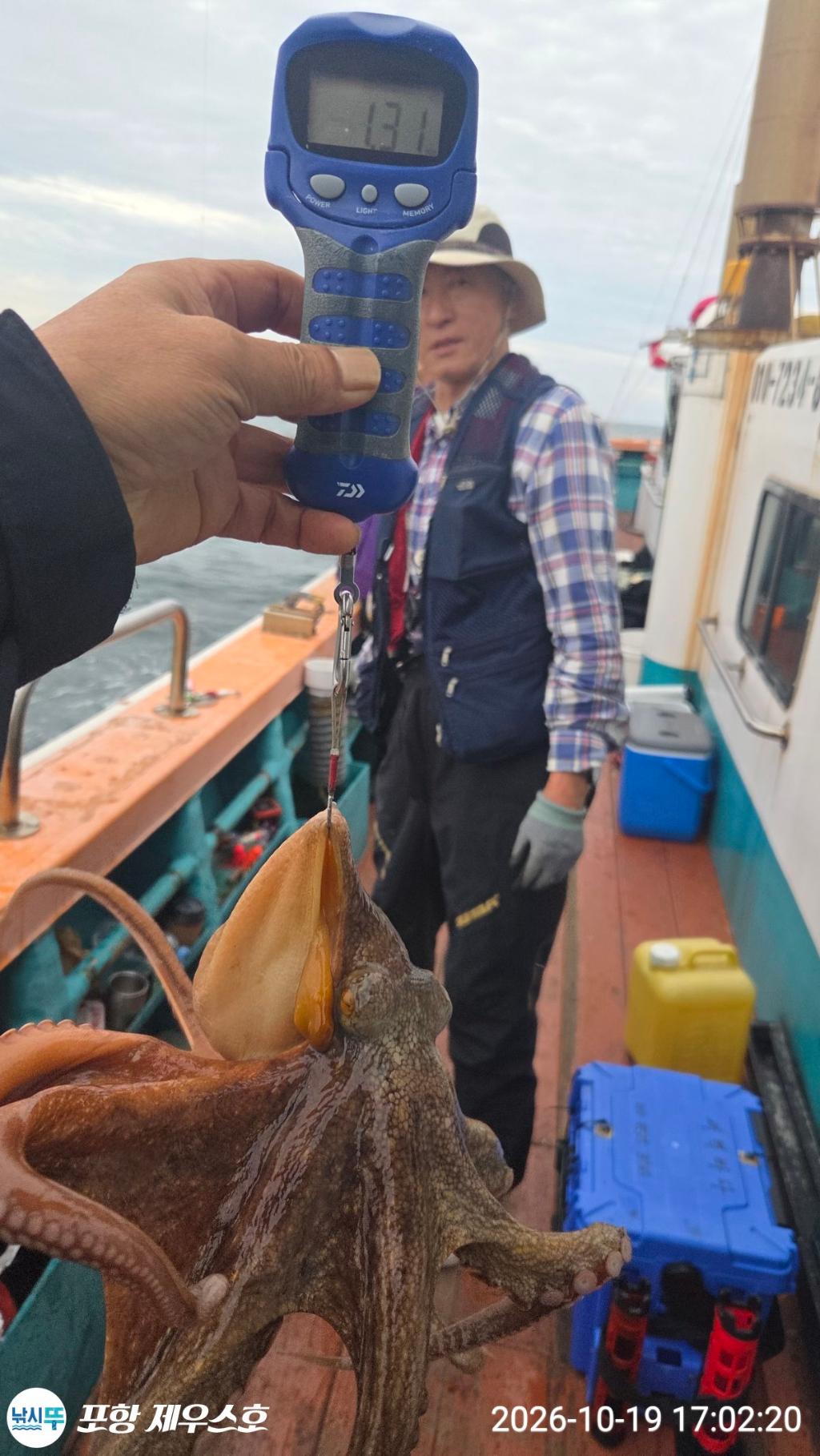 낚시뚜,돌문어,영일만항,포항 제우스호,낚시뚜7